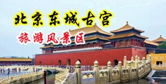 欧美阴毛多多色色视频中国北京-东城古宫旅游风景区